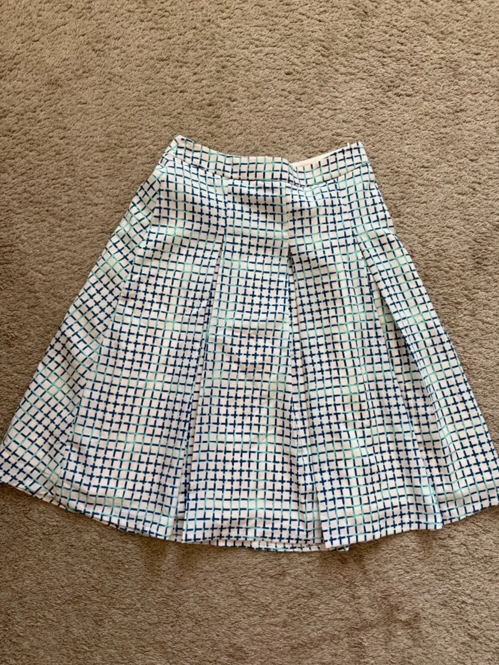 The Limited skirt